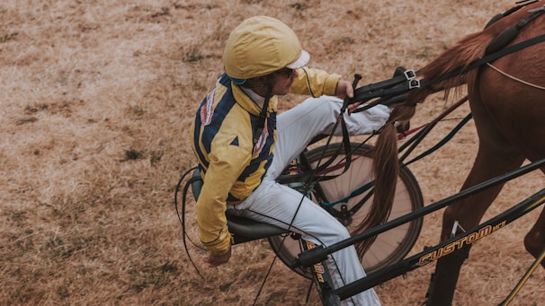 A person wearing a yellow helmet and matching jacket sits in a sulky, steering a brown horse. The harness and wheels of the sulky are visible. The ground is dry and grass-covered, suggesting an outdoor setting.