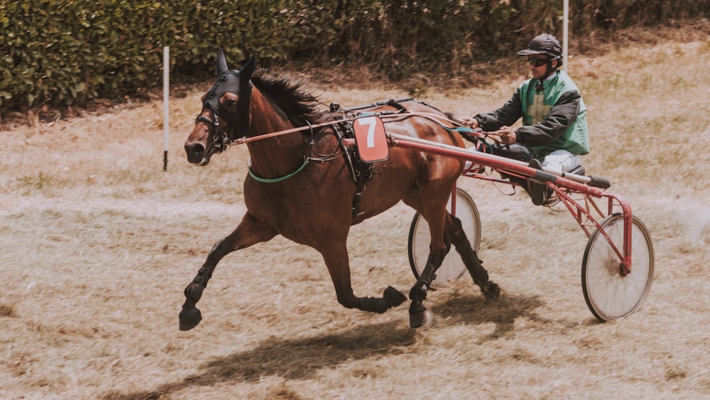 brown horse with carriage