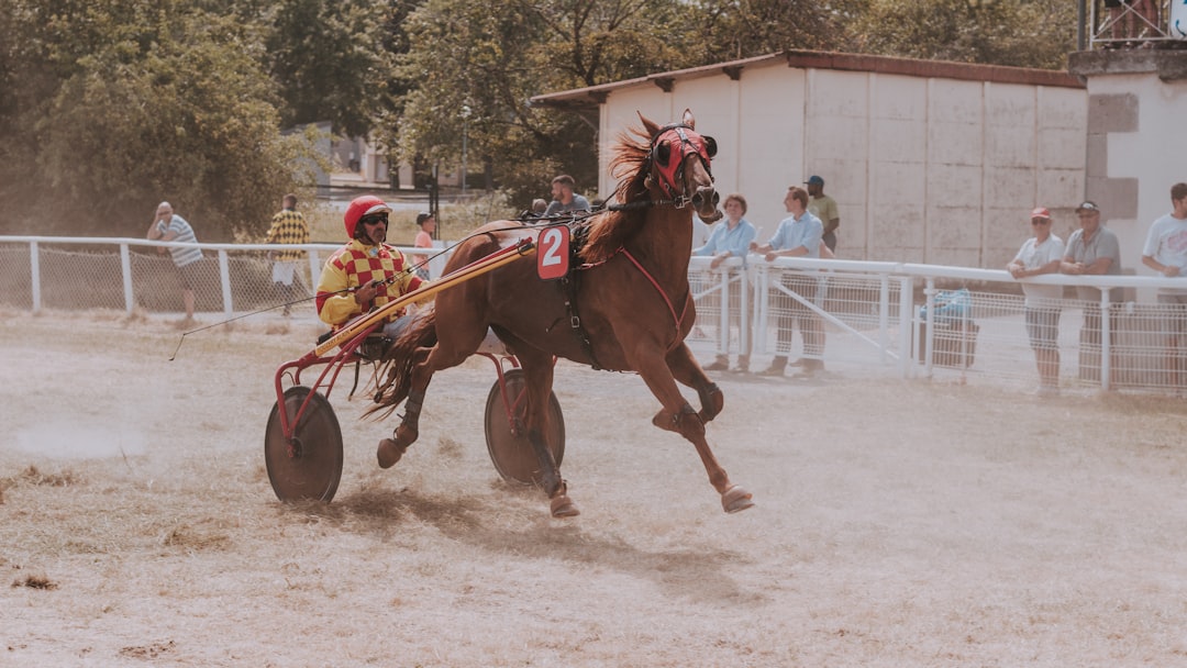 man on carriage