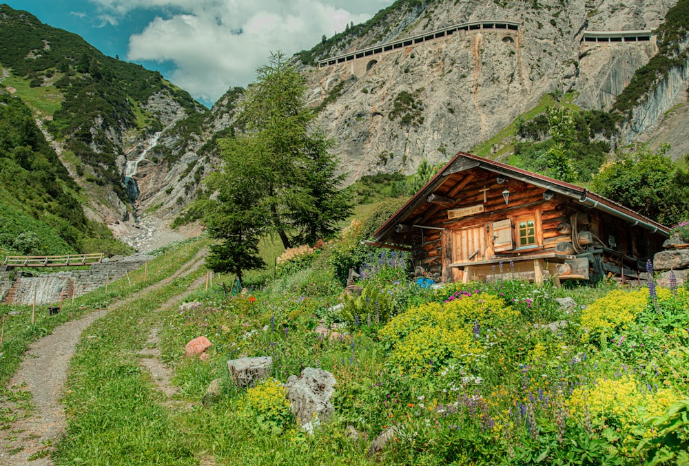 brown wooden house near tree and mountain during daytime