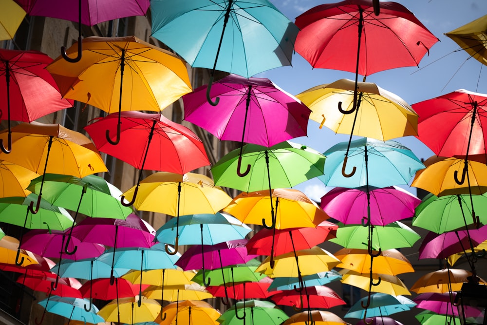 assorted-color umbrella