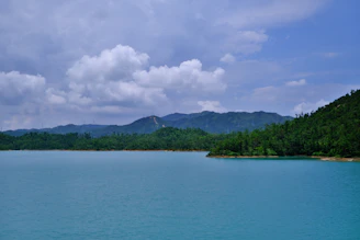 calm body of water during daytime