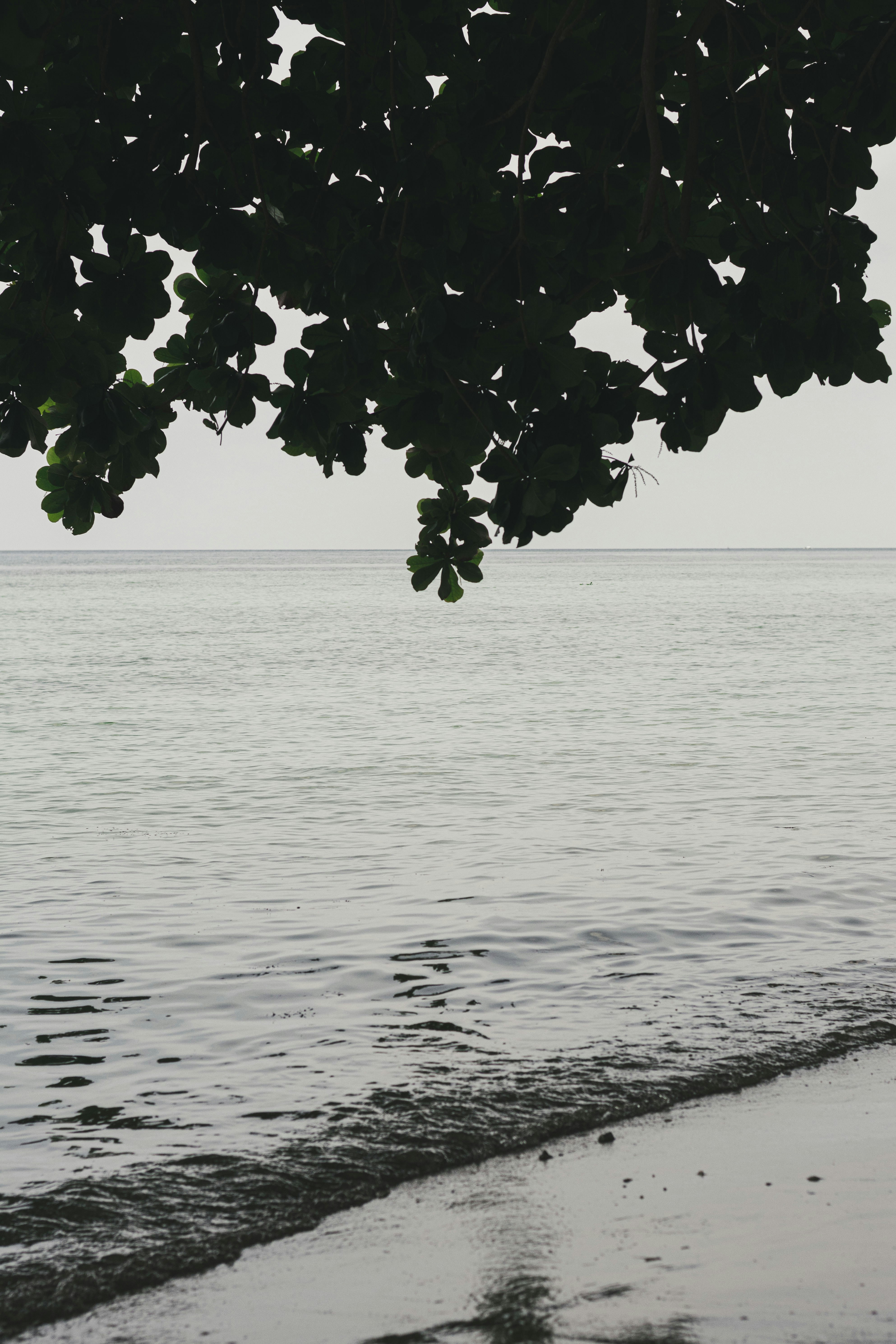 Photo by lorenznarbs