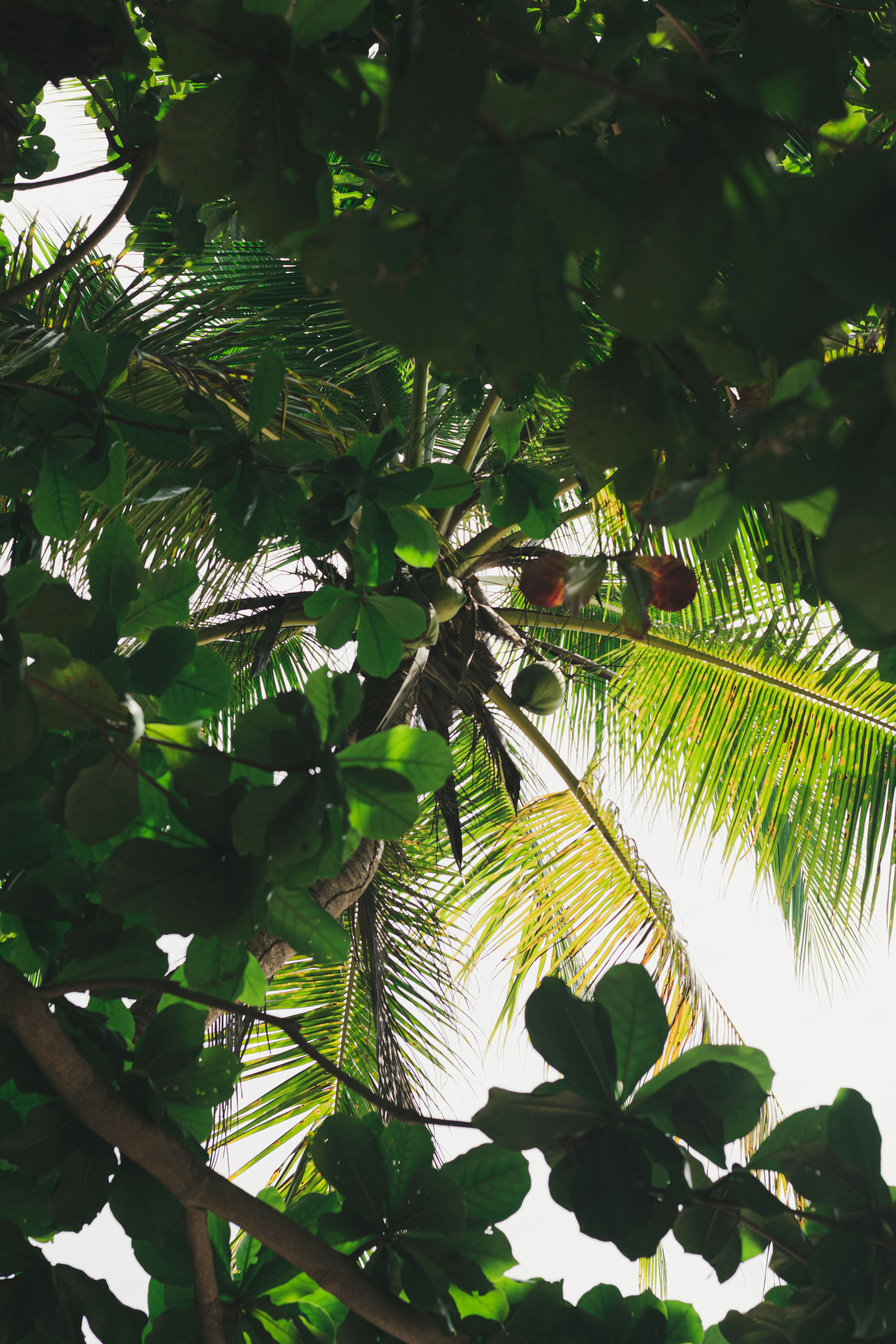 Photo by lorenznarbs