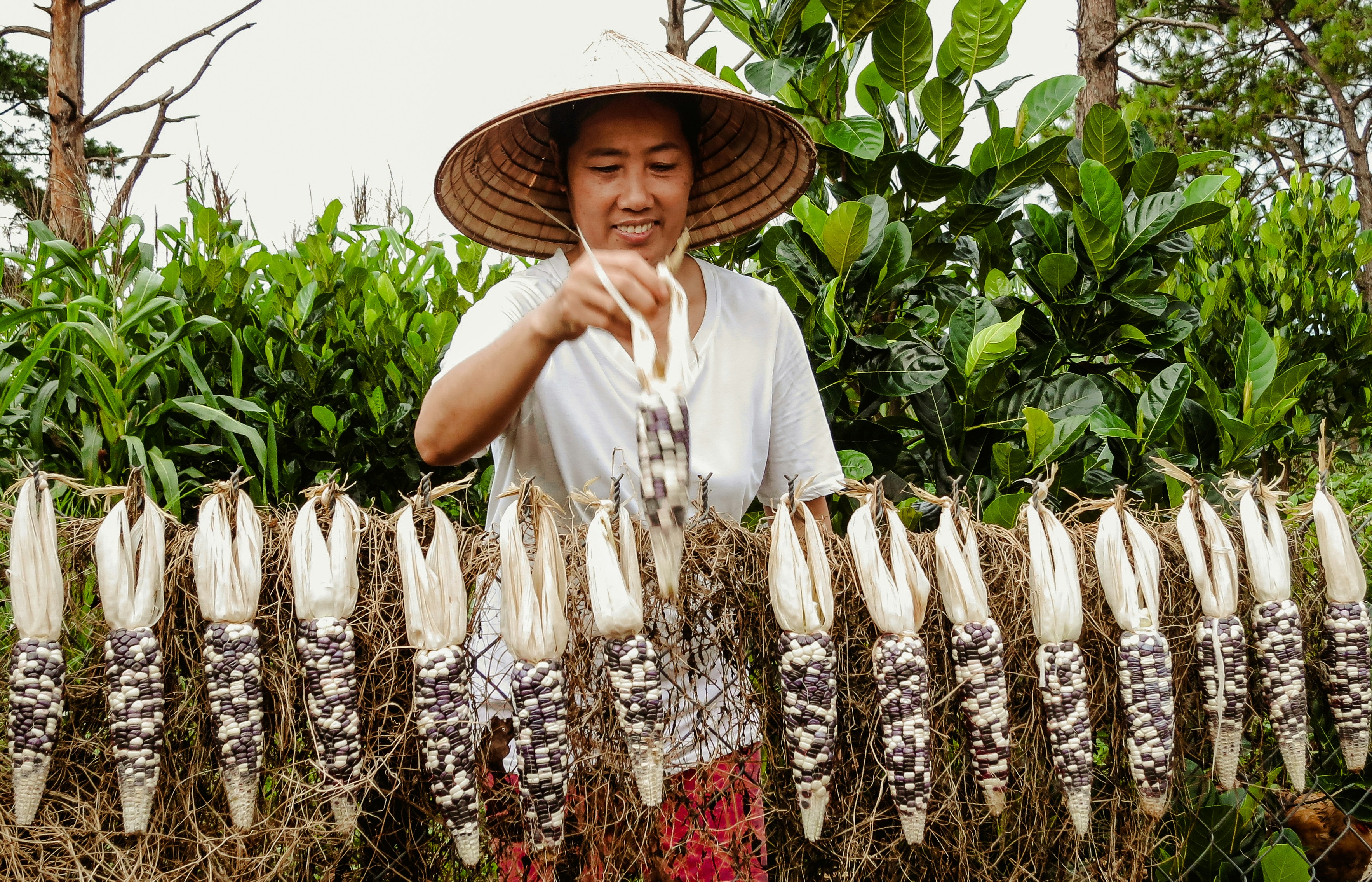 Photo by yenyen11011998