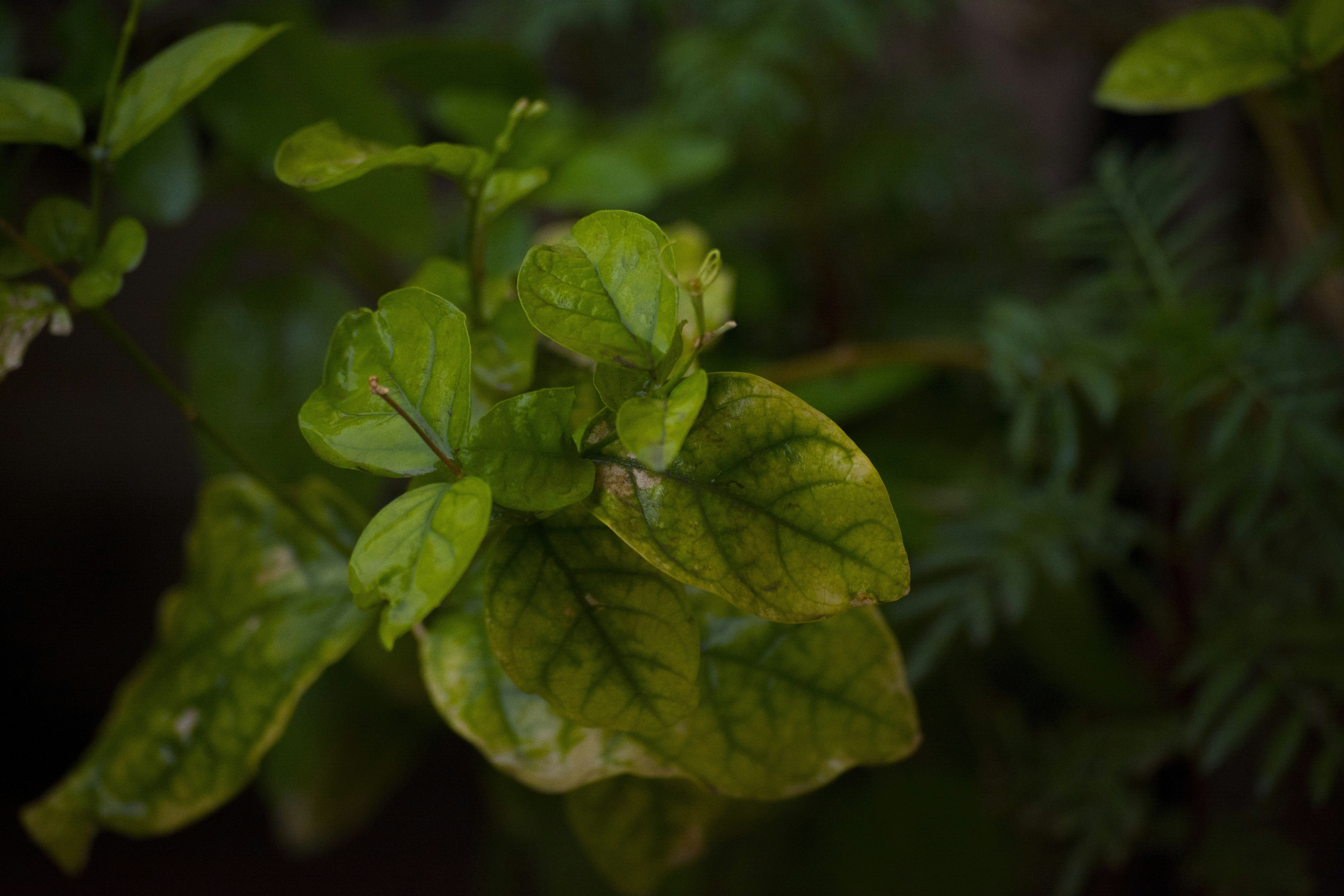 Photo by bottlegreen