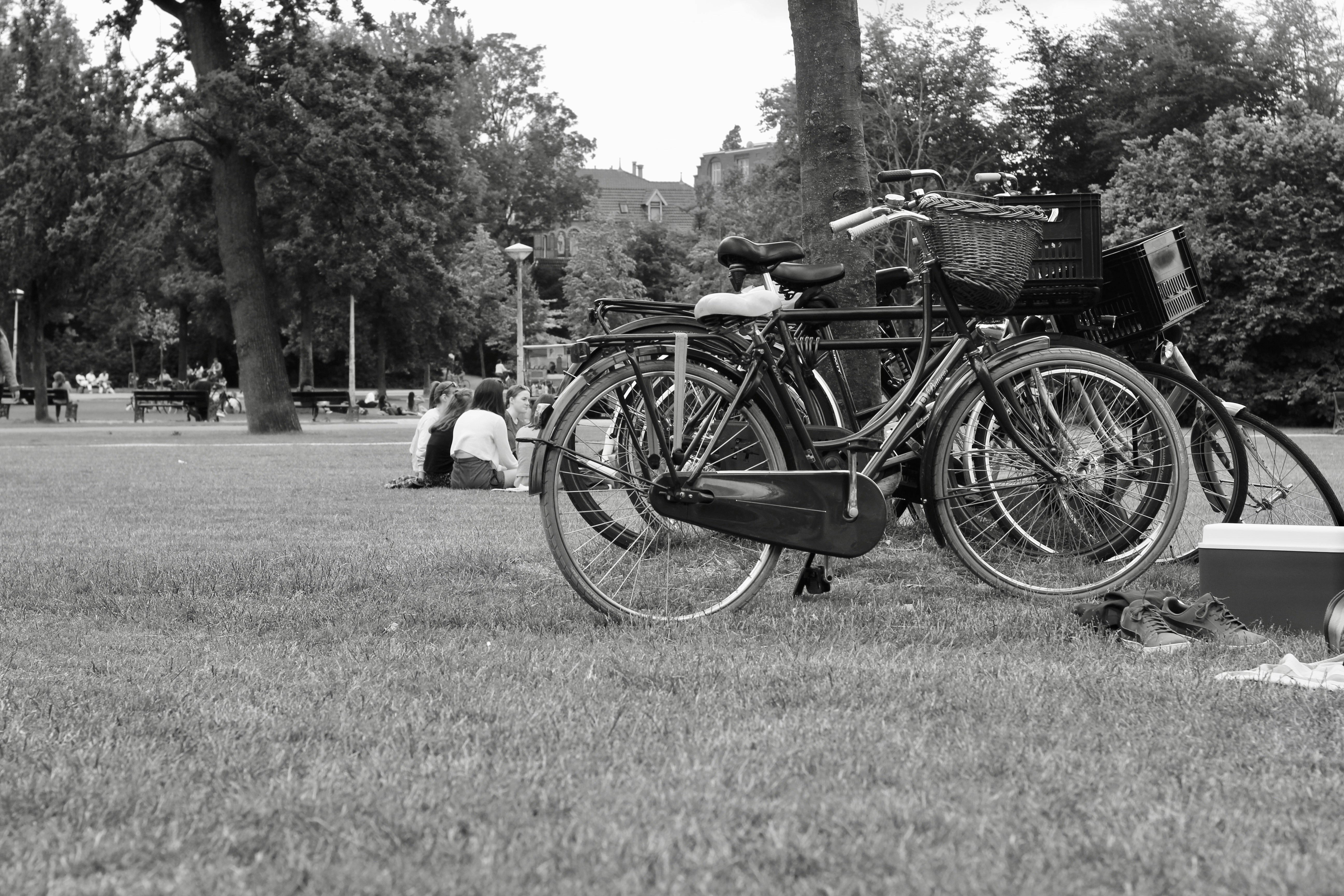 Photo by louishansel