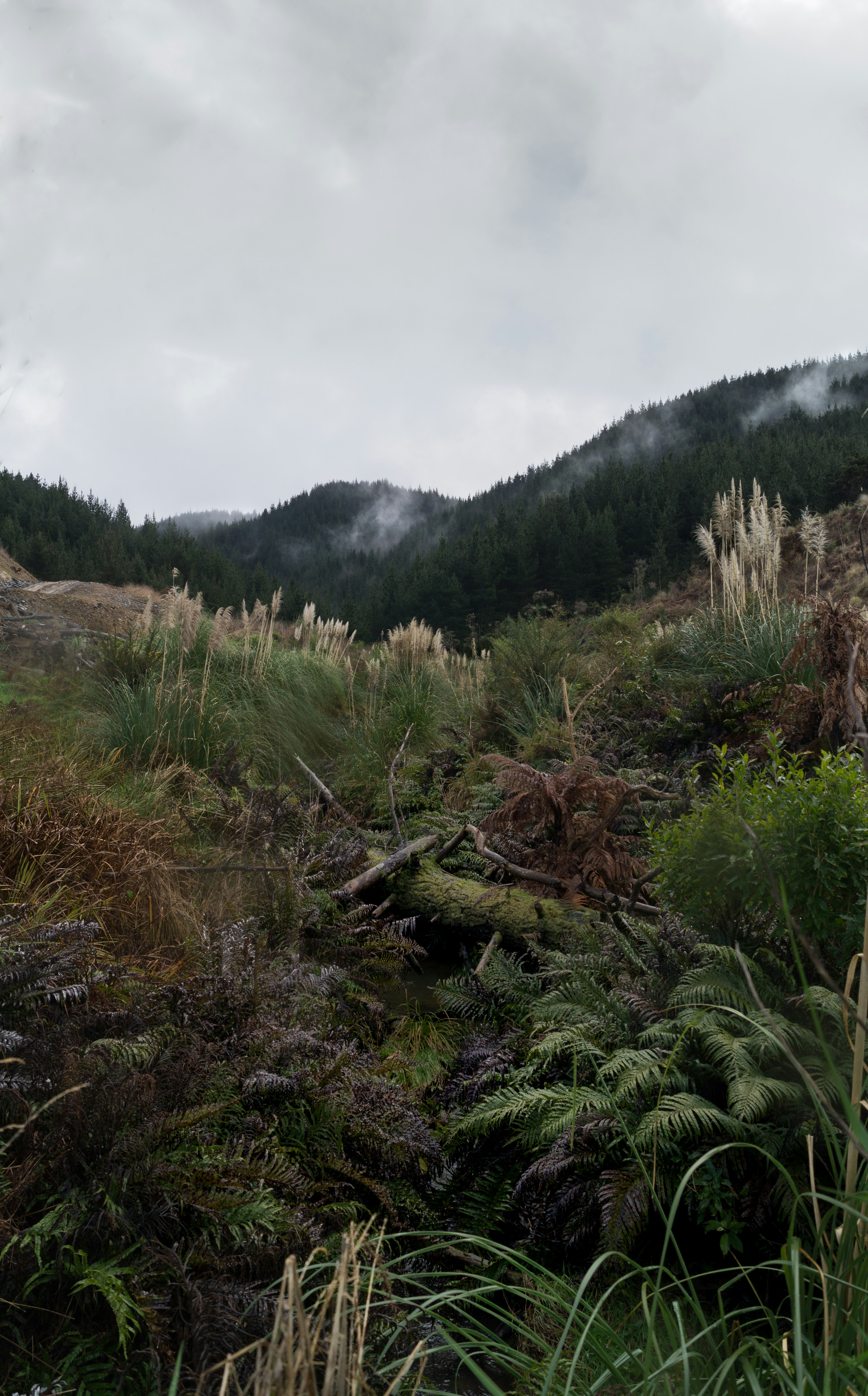 Photo by anton_lammert