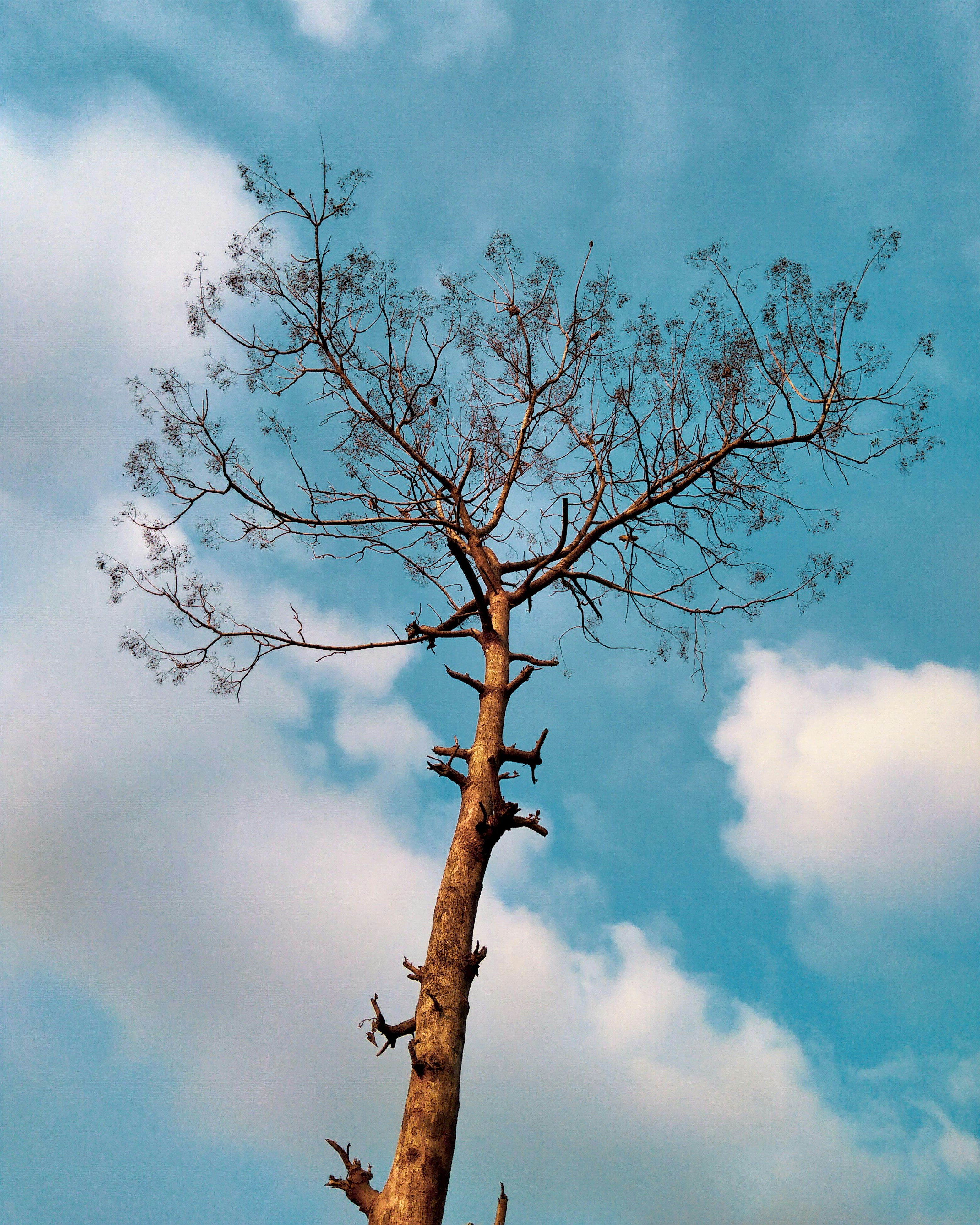 Photo by keithkamson