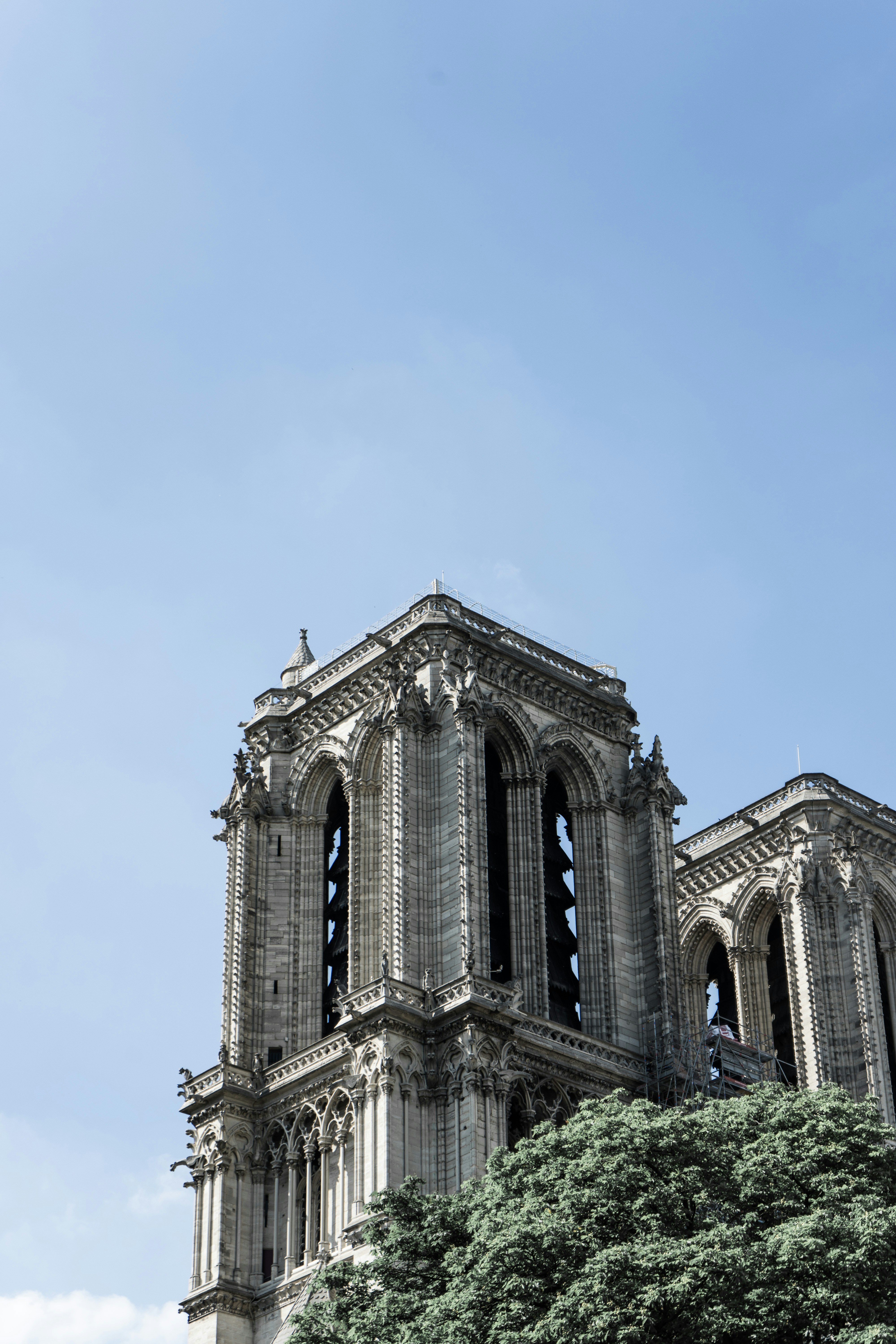 Photo by virussinside