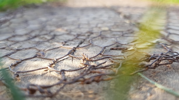 A close-up photo of galvanized wire mesh rolls stacked outdoors under sunlight.
