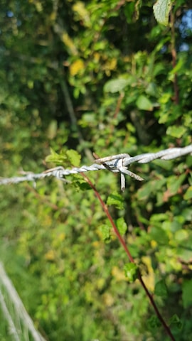 A close-up of sturdy galvanized steel fencing installed around a lush farmland under bright sunlight.