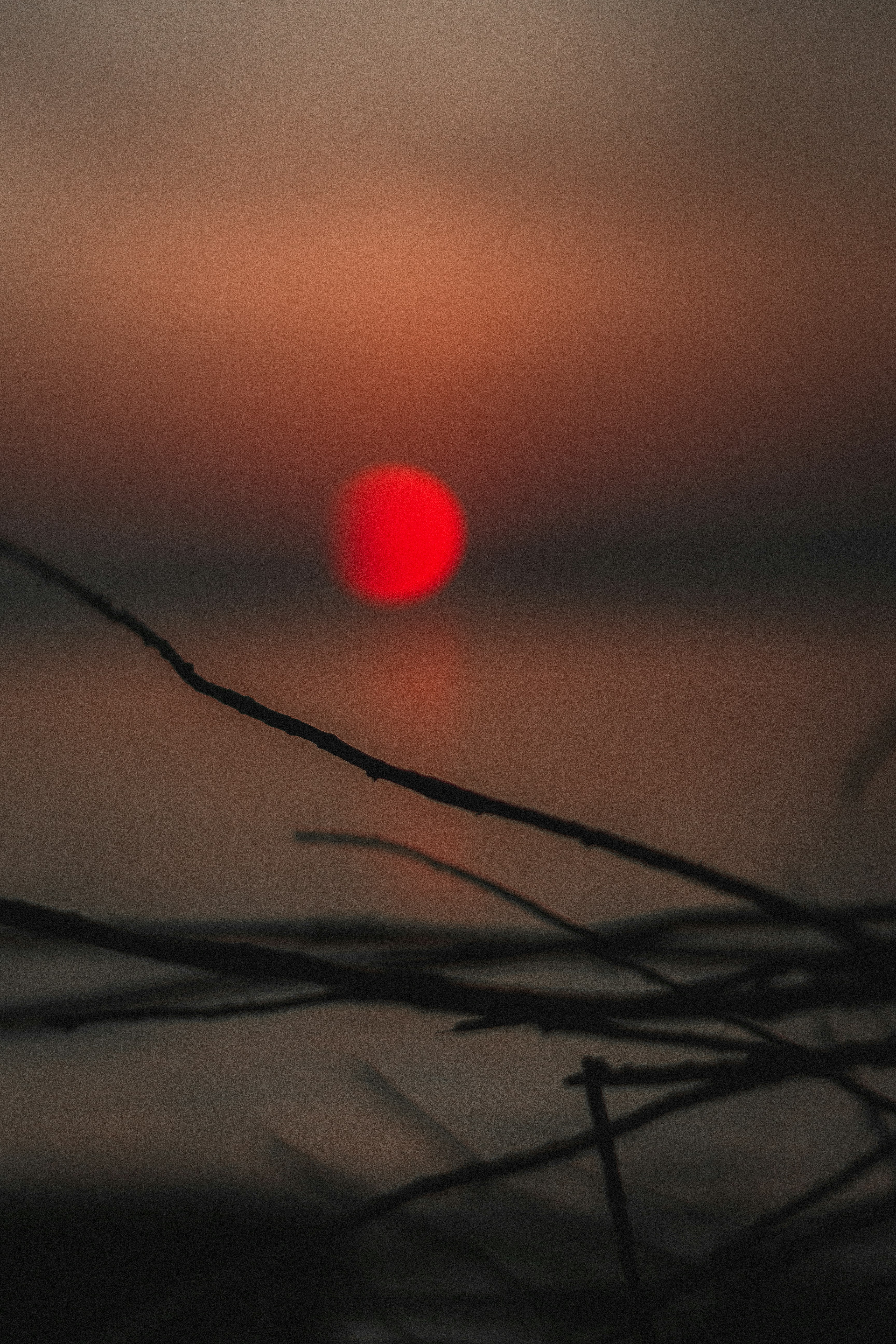 Photo by blrguillaume