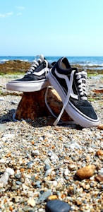 Coastal Runner