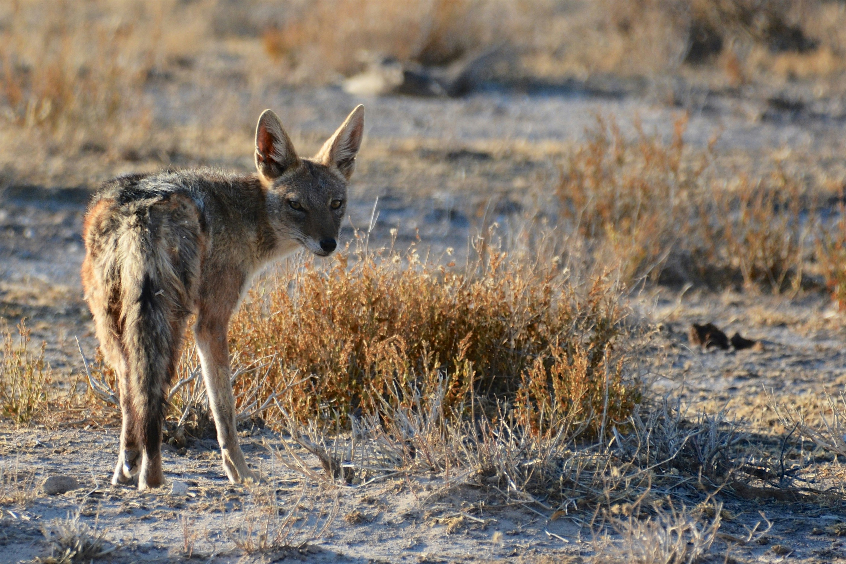 Photo by fabianarizzi