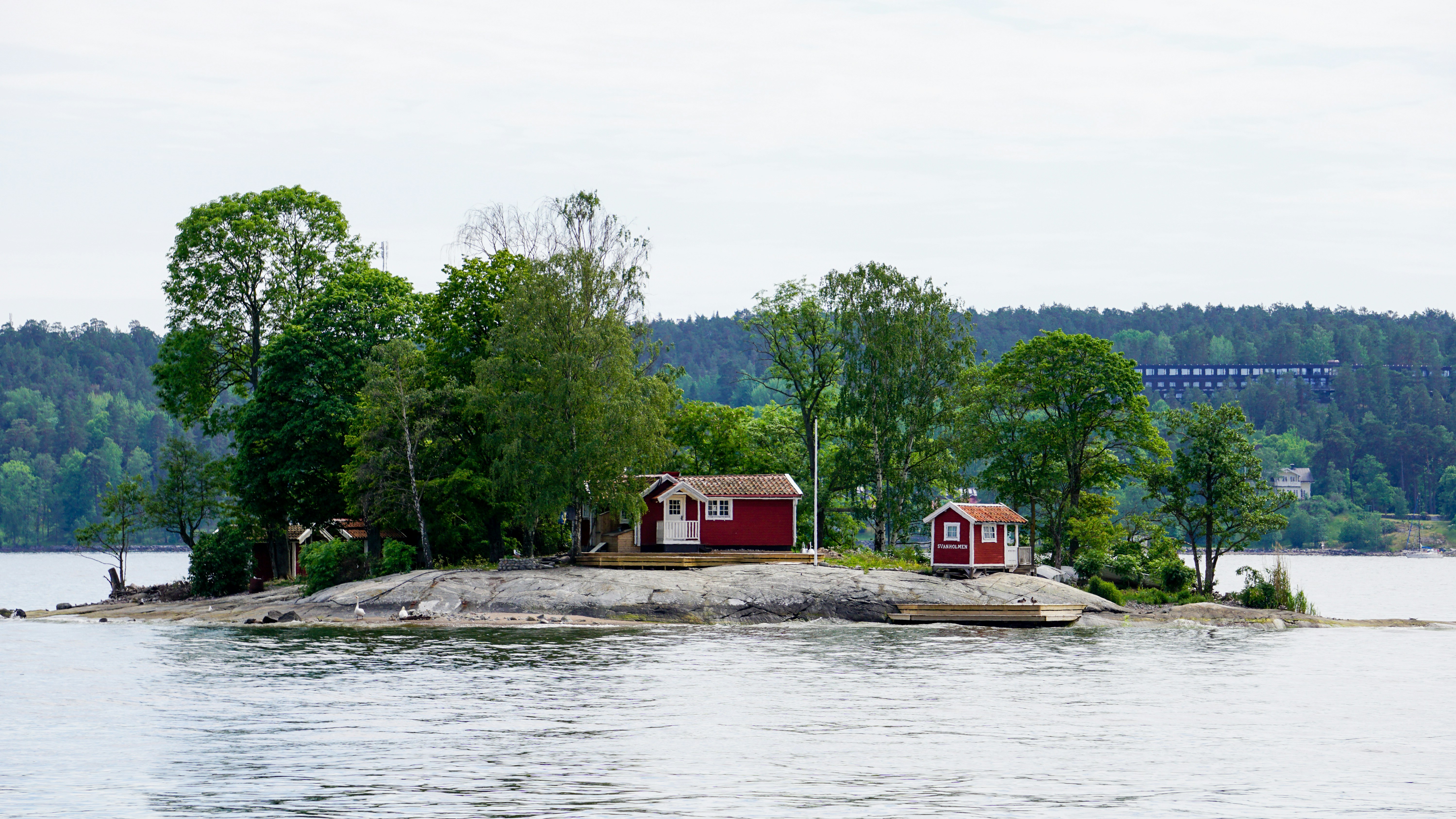 Photo by ilja_nedilko