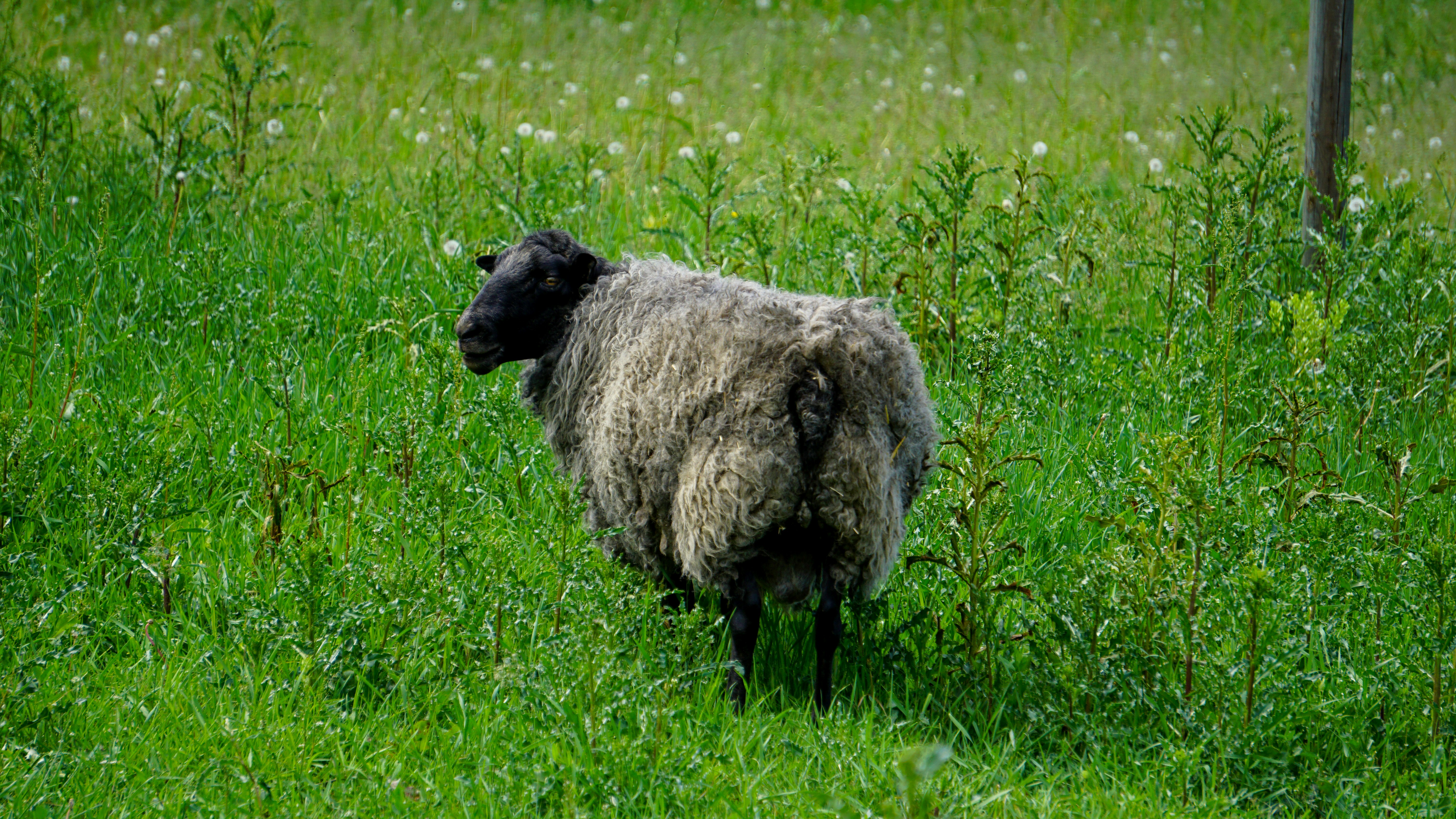 Photo by ilja_nedilko