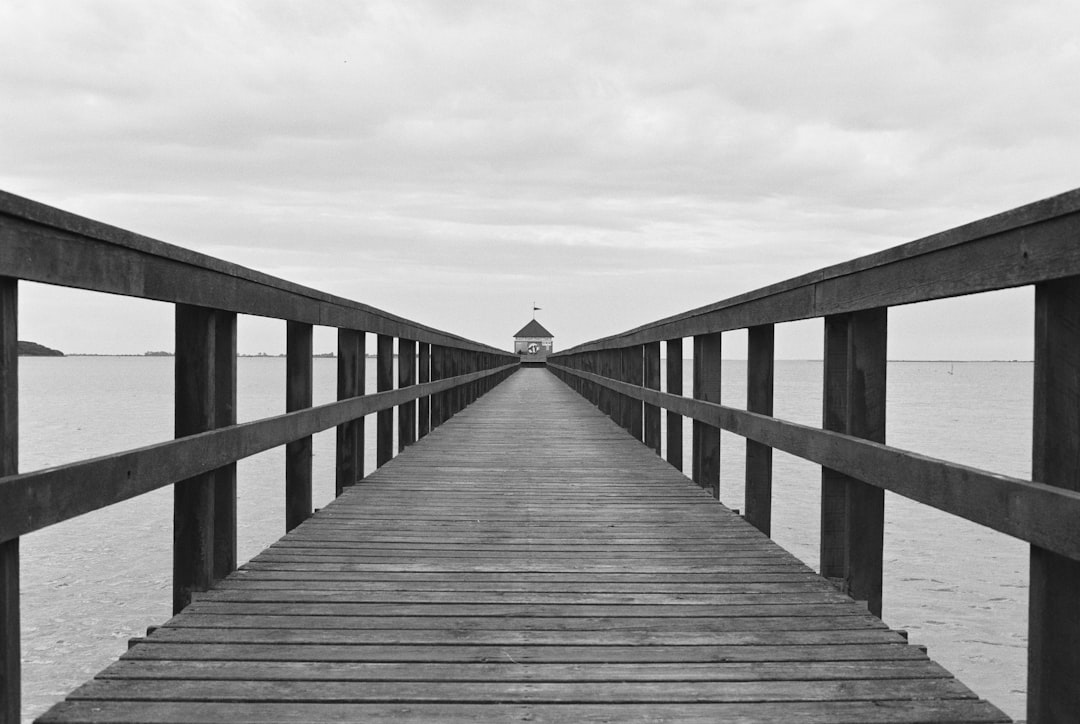 gray wooden dock during daytime