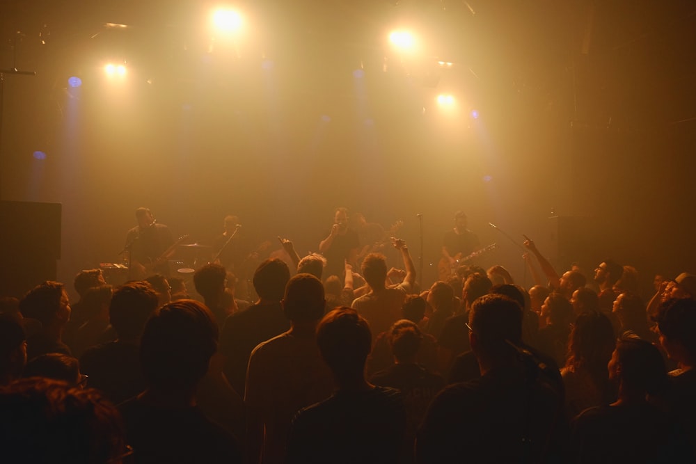 crowd of people during nighttime