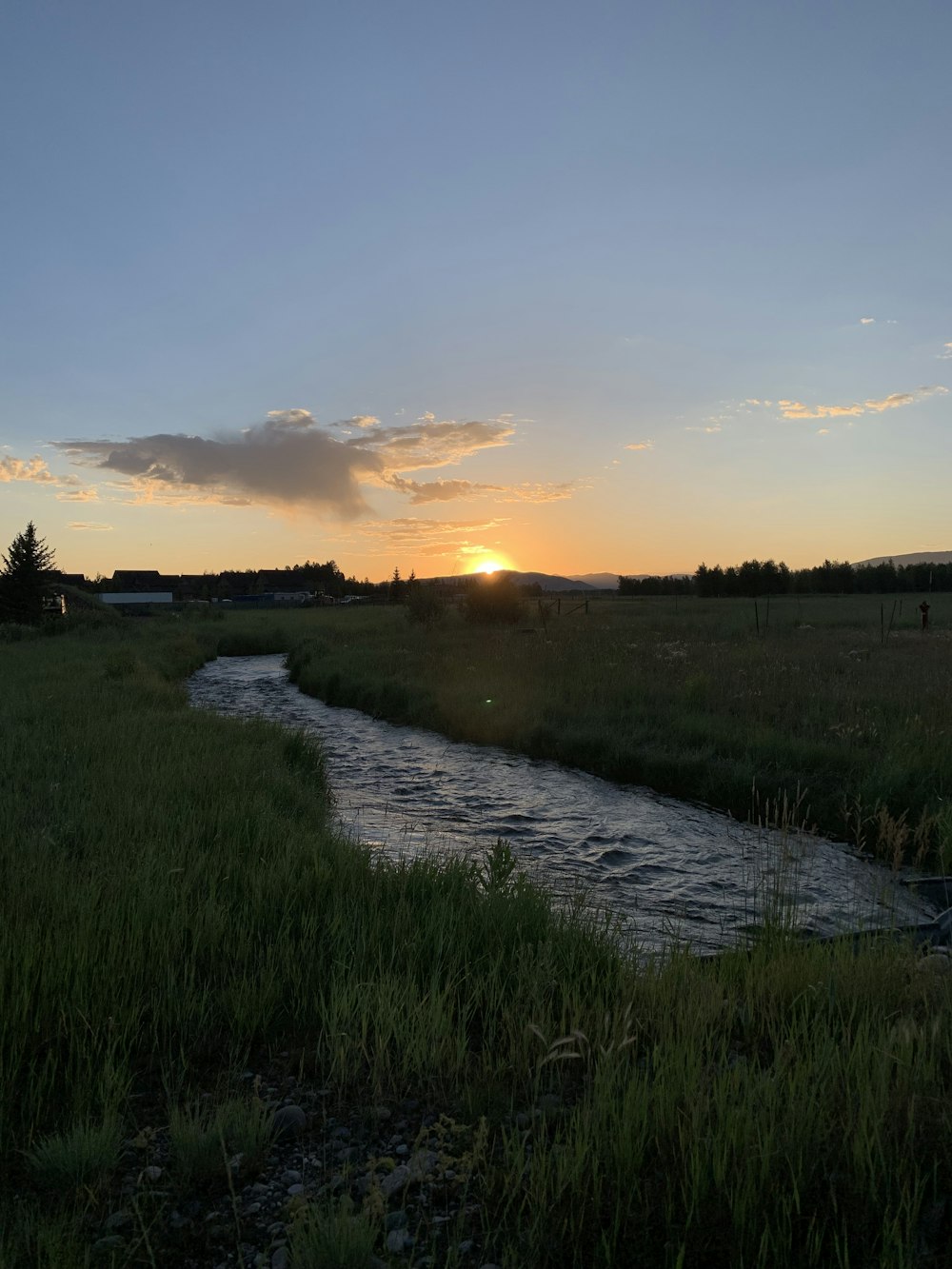 green grass field beside river