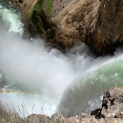 Lower Falls of Yellowstone River - から Brink of the Lower Falls, United States