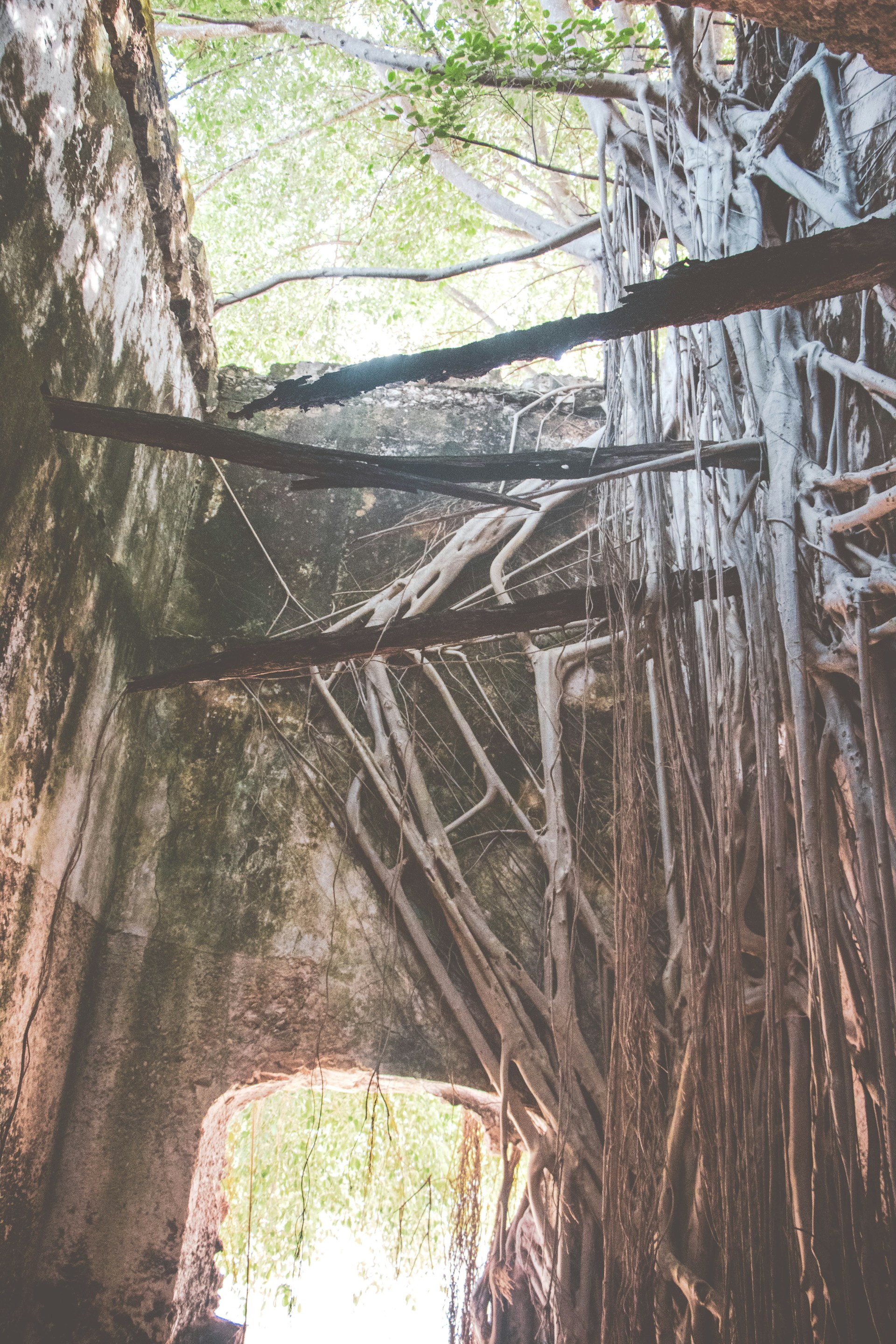 woman wearing yellow long-sleeved dress under white clouds and blue sky during daytime