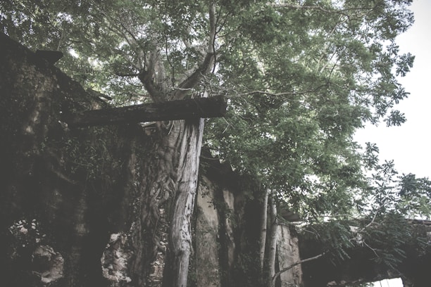 A resilient survivor rebuilding a shelter amidst a post-apocalyptic landscape with scattered ruins and new growth.