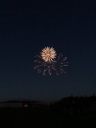 A fireworks display lights up the night sky, with bright yellow and orange bursts radiating outward against the dark backdrop. The lower part of the scene features silhouettes of trees and buildings, adding depth and context to the festive atmosphere.