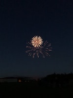 A fireworks display lights up the night sky, with bright yellow and orange bursts radiating outward against the dark backdrop. The lower part of the scene features silhouettes of trees and buildings, adding depth and context to the festive atmosphere.