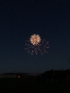 A fireworks display lights up the night sky, with bright yellow and orange bursts radiating outward against the dark backdrop. The lower part of the scene features silhouettes of trees and buildings, adding depth and context to the festive atmosphere.