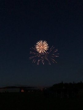 A fireworks display lights up the night sky, with bright yellow and orange bursts radiating outward against the dark backdrop. The lower part of the scene features silhouettes of trees and buildings, adding depth and context to the festive atmosphere.