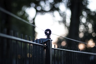 black metal fence