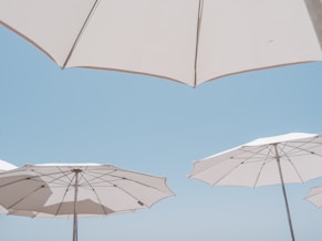 Content That Connect's umbrella of digital marketing services 