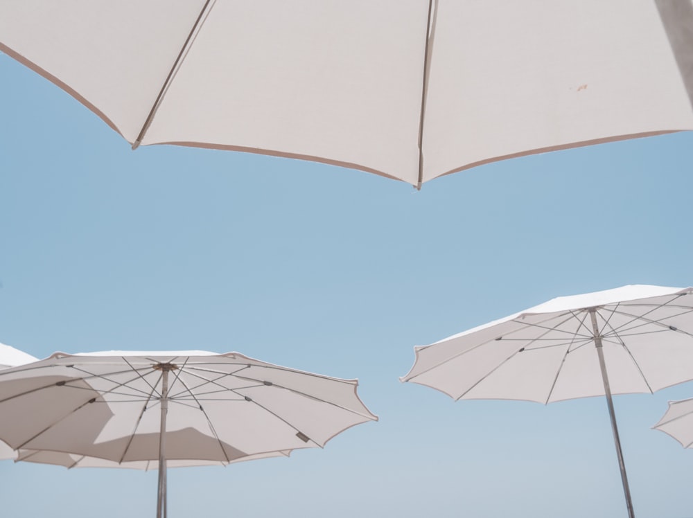 white umbrellas on sky