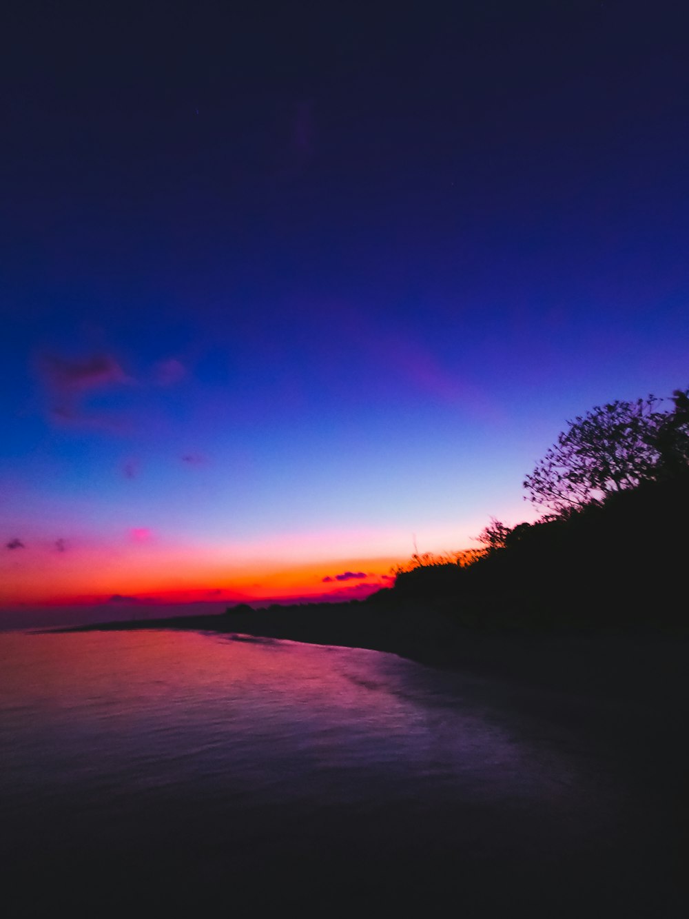 silhouette of trees near body of water