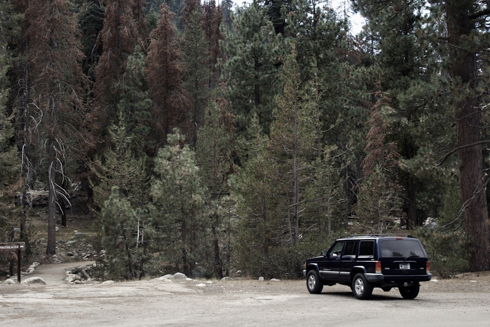 black SUV near pine trees at daytime