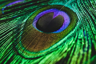 green feather