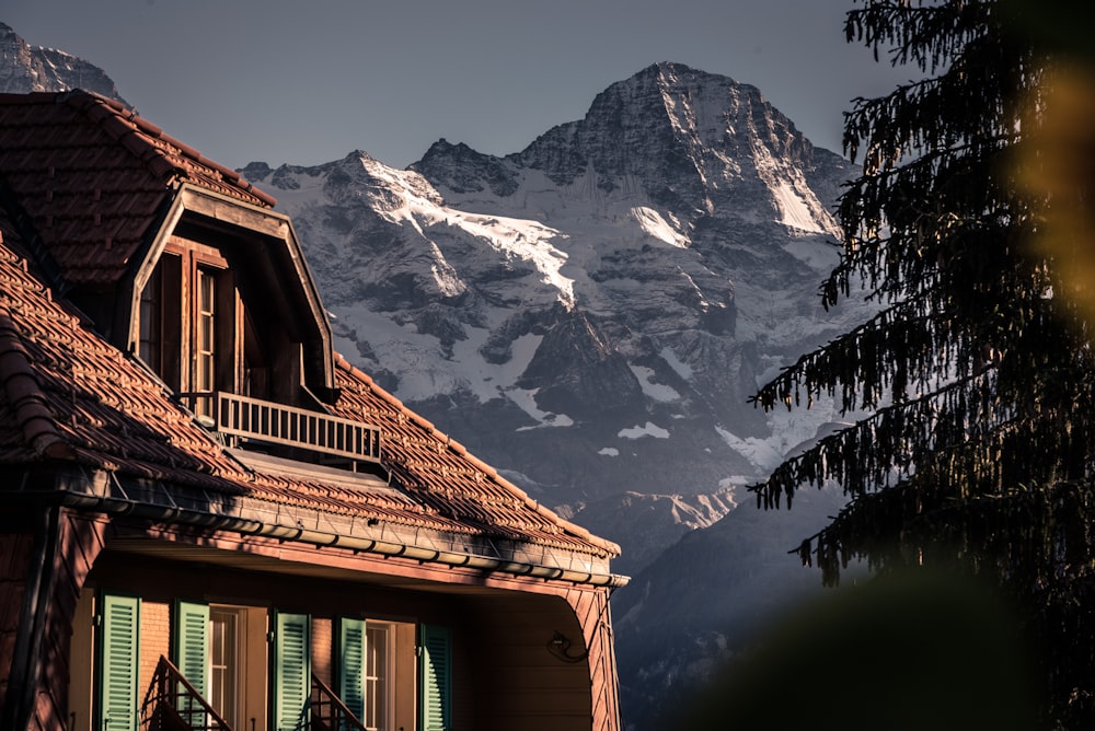 mountain covered with snow