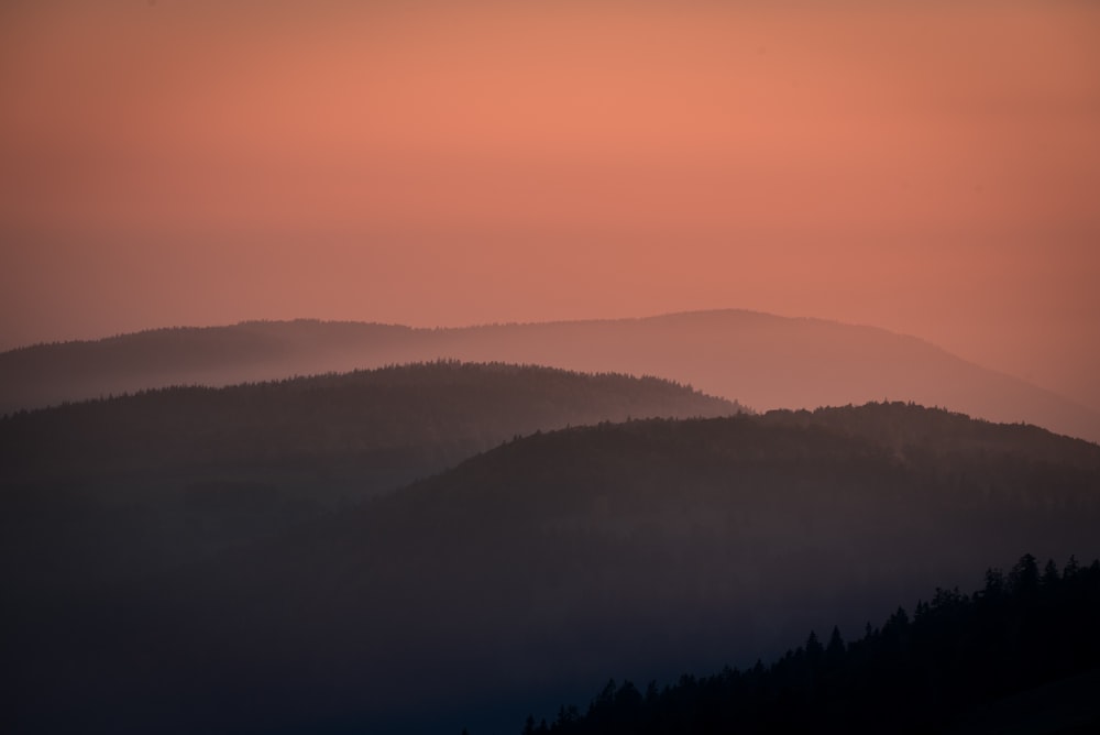 mountains and trees silhouette