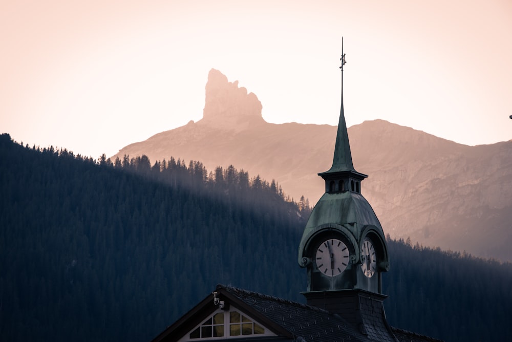 tower clock near forest