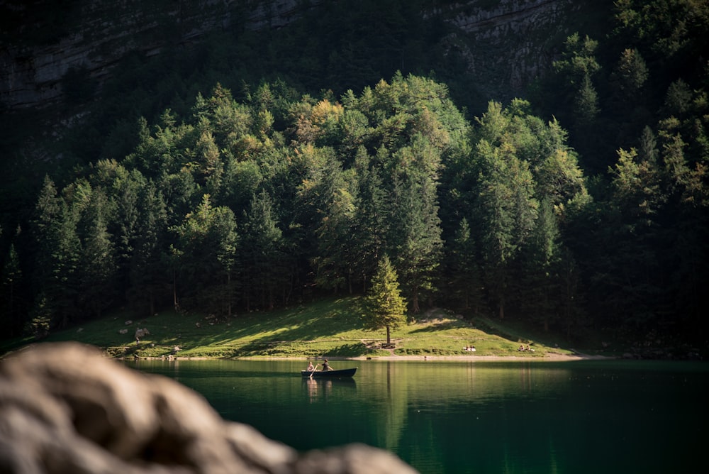 body of water near trees