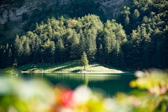 A serene landscape featuring a tranquil lake surrounded by lush greenery and soft sunlight filtering through the trees.