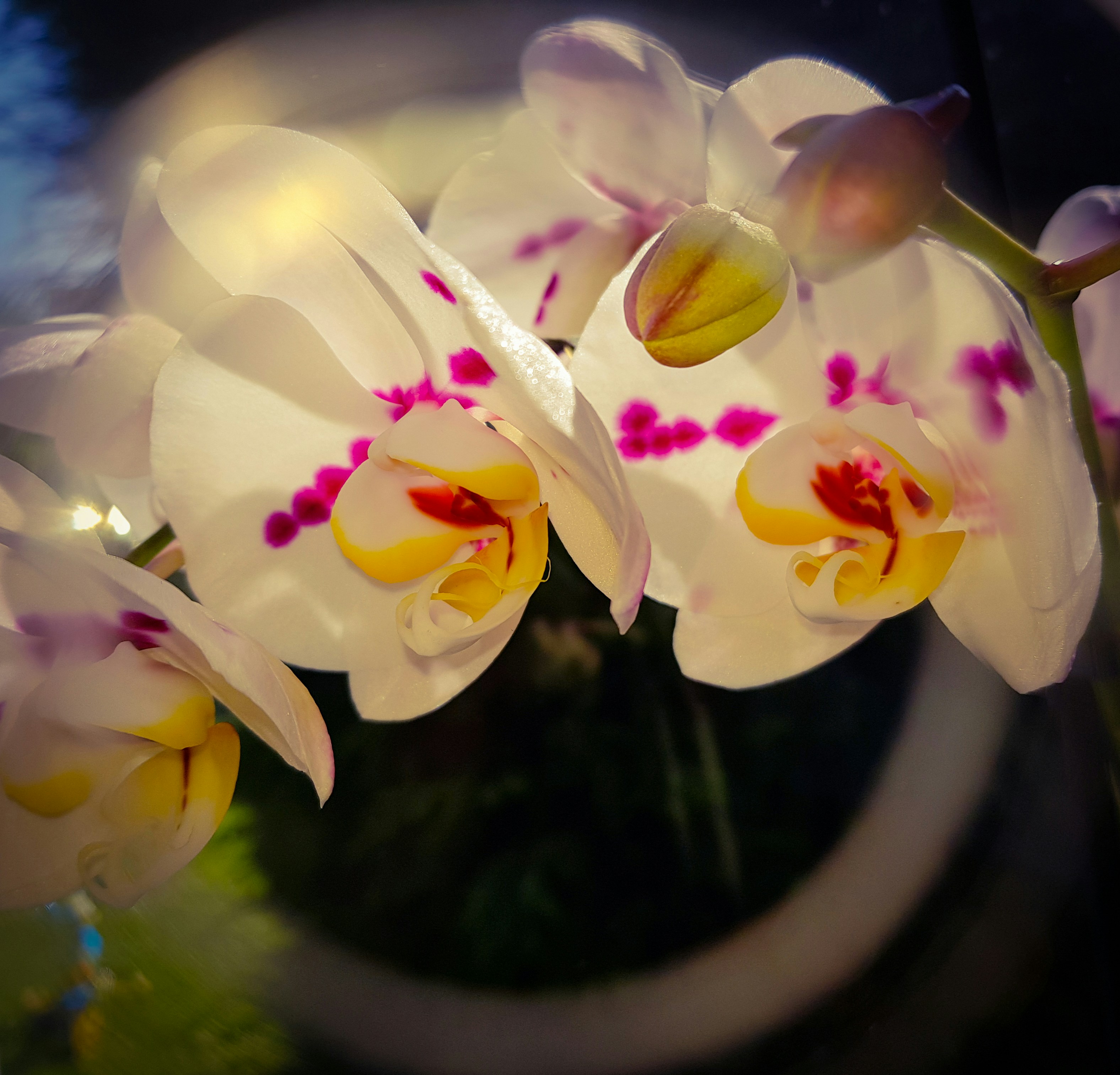 Photo by bogdan87