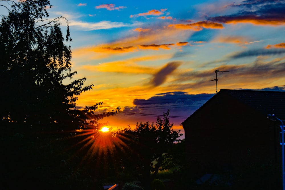 silhouette of trees during golden sky