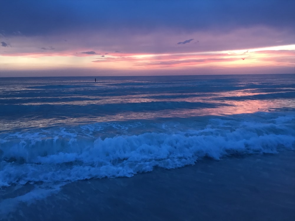 seashore during golden hour