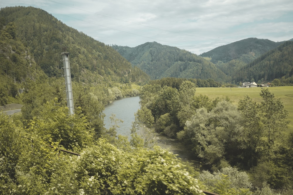 river between green-leafed trees