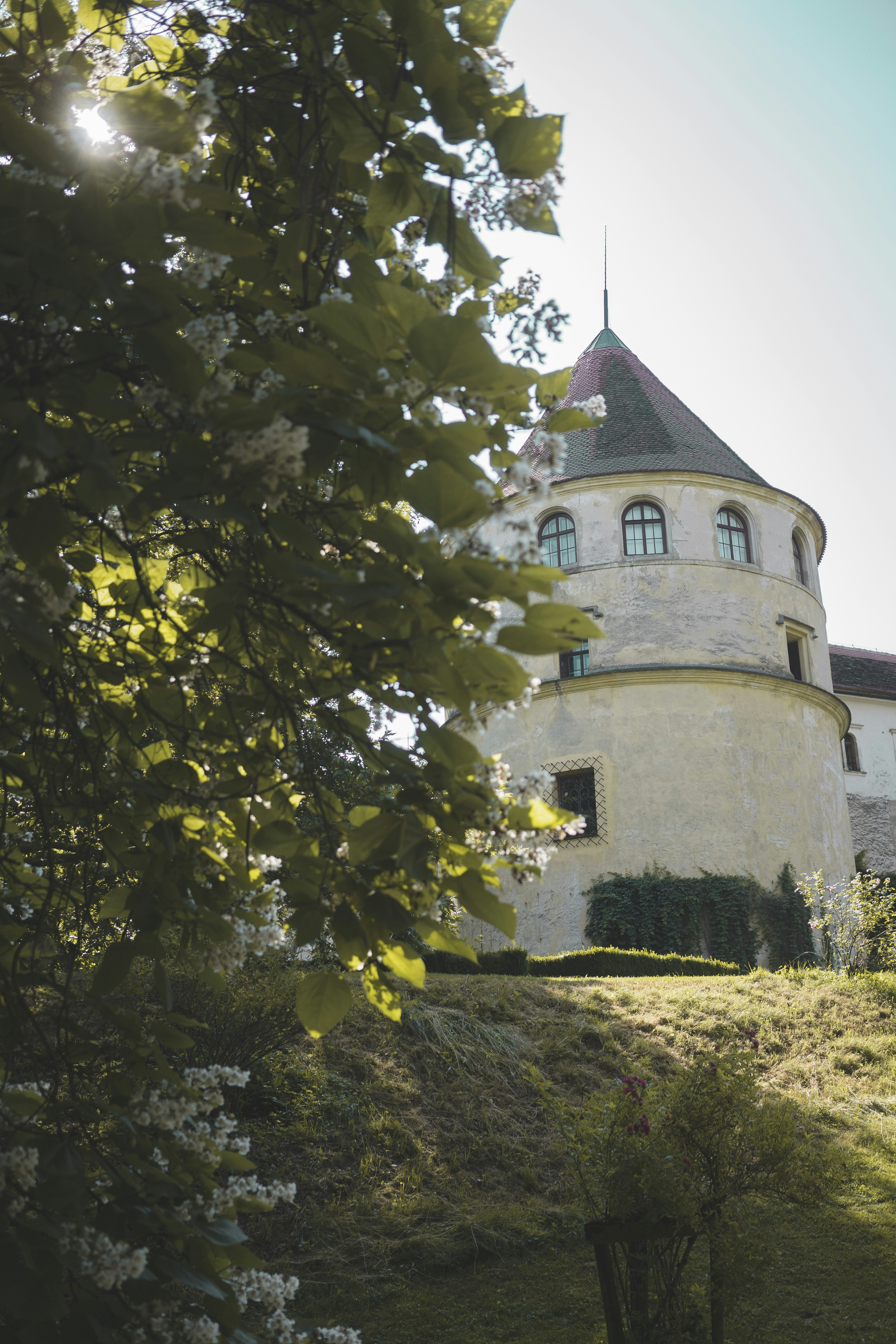 Photo by martindorsch