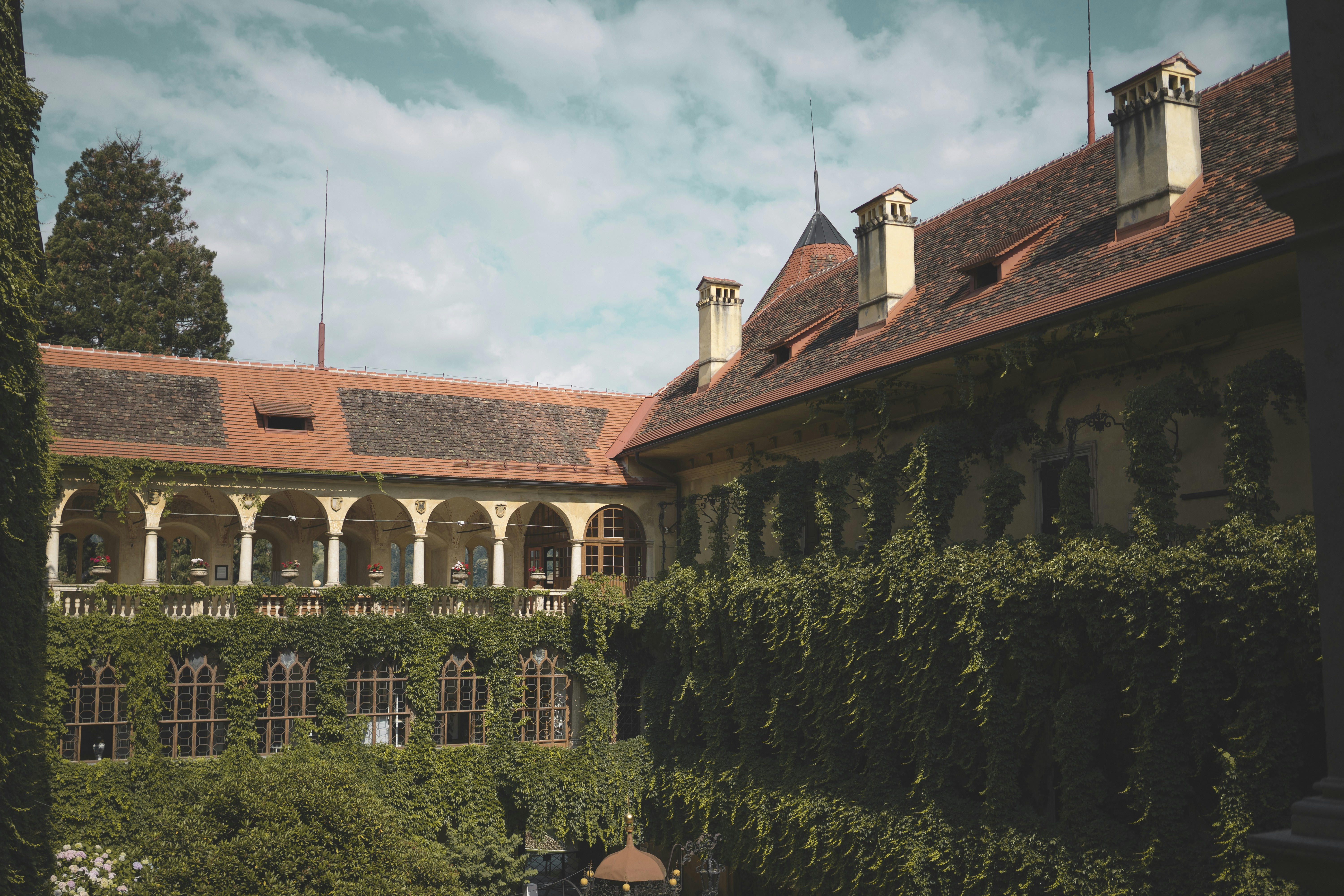 white concrete houses beside topiary plants