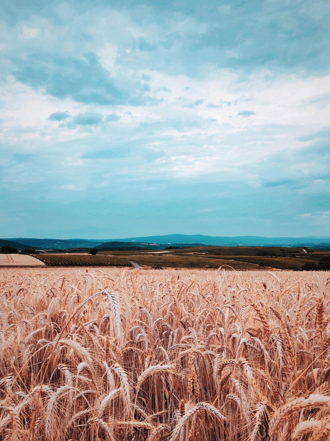 Plain photo spot Unnamed Road Mölsheim