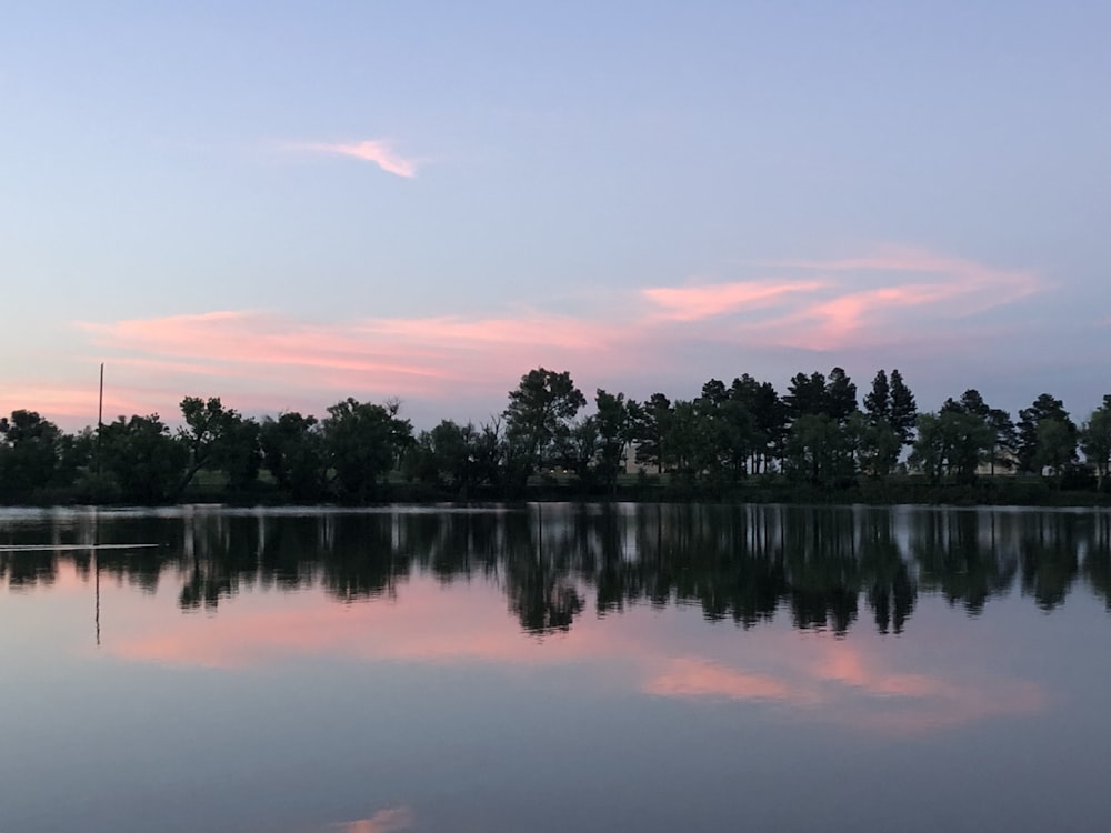 trees and body of water during day